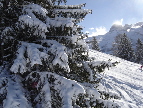 skiferien schweiz